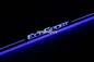 Ford Ecosport Led Moving Door sill Scuff Dynamic Welcome Pedal LED Lights supplier
